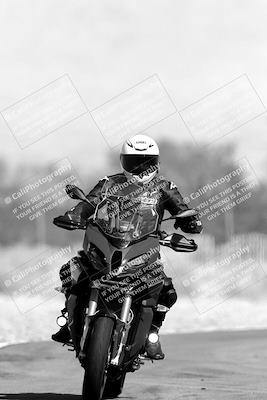 media/Nov-06-2023-Moto Forza (Mon) [[ce023d0744]]/4-Beginner Group/Session 3 (Track Exit)/